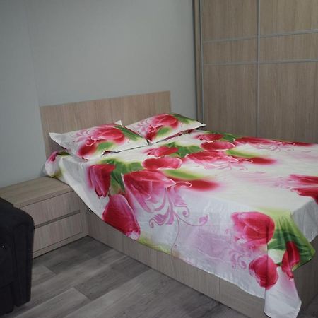 Apartament Parc Central Rhbm Baia Mare Exterior foto